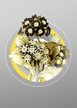 Gray and Yellow Flowers