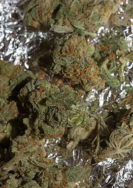 Super lemon kush stuff