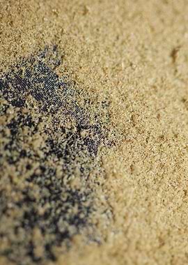 Cannabis THC background