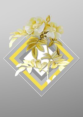 Gray Shining Rose Flower