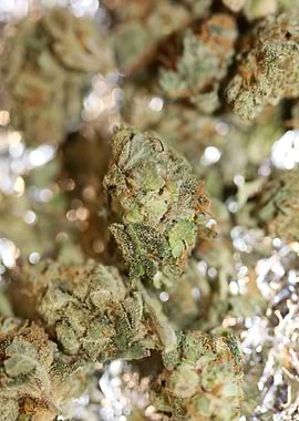 Super lemon kush stuff