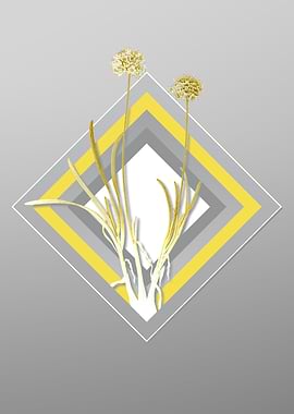 Gray and Yellow Allium Art