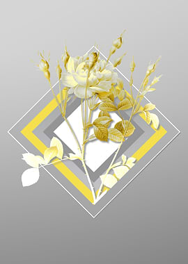 Gray Anemone Rose Flowers