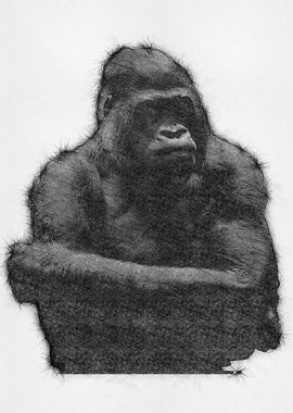 Monkey Pencil Sketch Art
