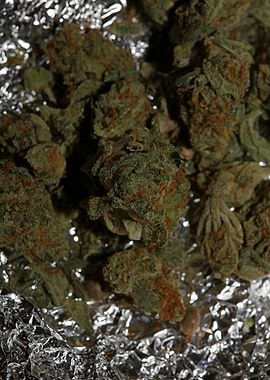 Super lemon kush stuff