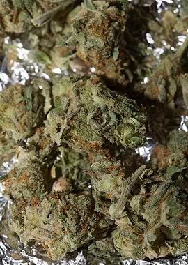 Super lemon kush stuff