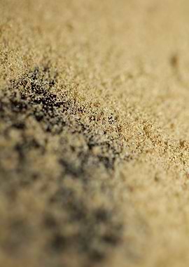 Cannabis THC background