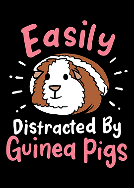 Guinea Pig Guinea Pig Love