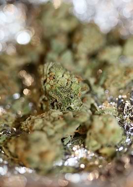 Super lemon kush stuff