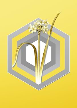 Yellow Flower Illustration