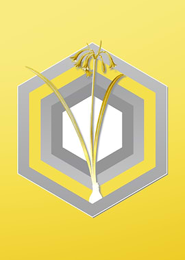 Grey and Yellow Botanicals