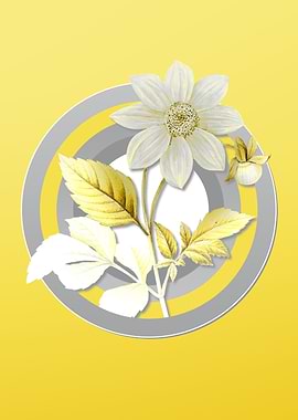 Yellow Flower Illustration