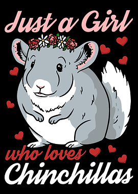 Chinchilla Chinchilla Love