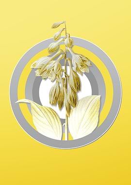 Gray and Yellow Botanicals