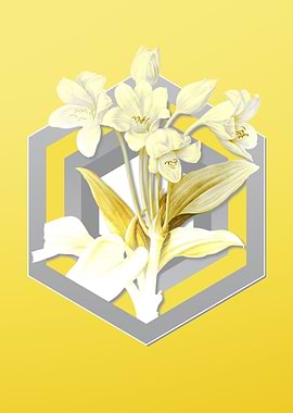 Yellow Flower Illustration