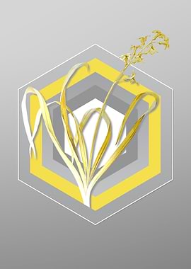 Gray Floral Illustration