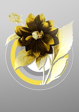 Gray Floral Illustration