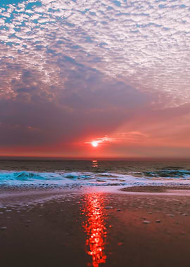 beach sunset