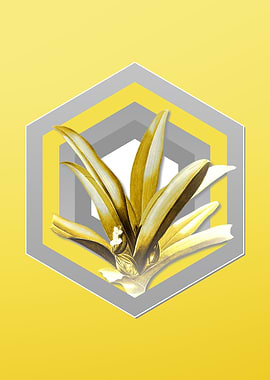 Grey and Yellow Botanicals