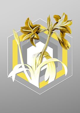 Gray Amaryllis Floral Art