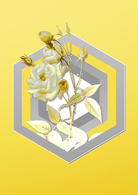 Yellow Flower Illustration