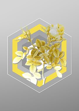 Gray Floral Illustration