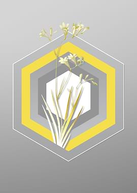 Gray Floral Illustration