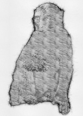Monkey Pencil Sketch Arts