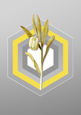 Gray Floral Illustration