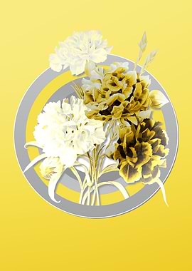 Yellow Carnation Flower