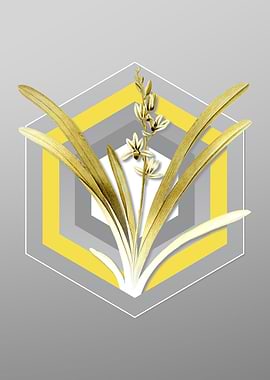 Grey Boat Orchid Flower