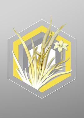 Grey Floral Illustration