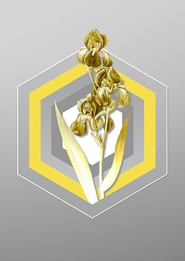 Gray Floral Illustration