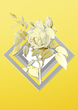 Illuminating Yellow Floral