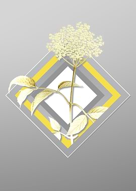 Grey Floral Illustration