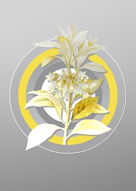 Grey Flower Illustration