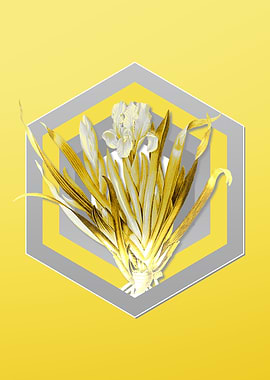 Yellow Flower Illustration