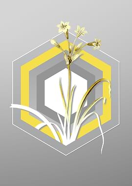 Gray Flower Illustration