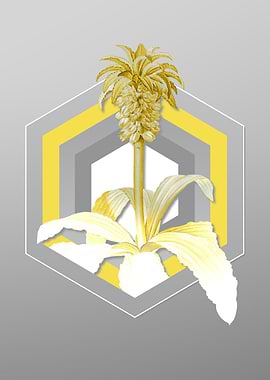 Gray Floral Illustration