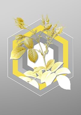 Grey Floral Illustration