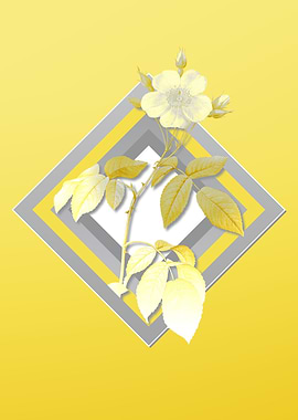 Gray and Yellow Botanicals