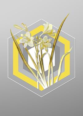 Gray Floral Illustration