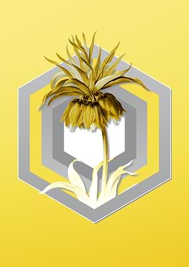 Illuminating Yellow Flower