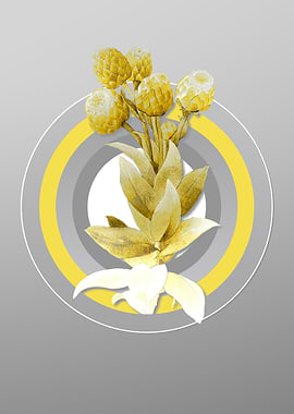 Grey Flower Illustration