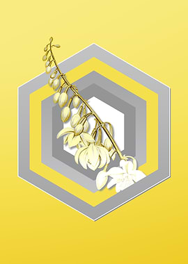 Illuminating Yellow Flower