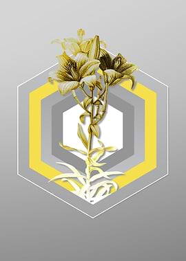 Grey Floral Illustration