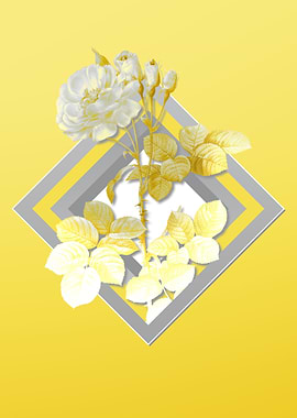 Yellow Floral Illustration