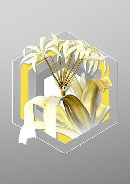 Grey Flower Illustration