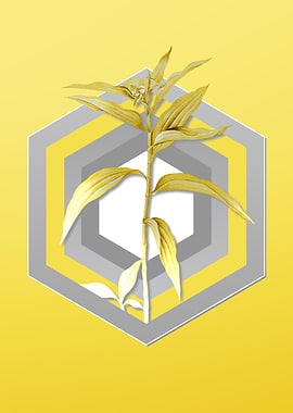 Yellow Floral Illustration