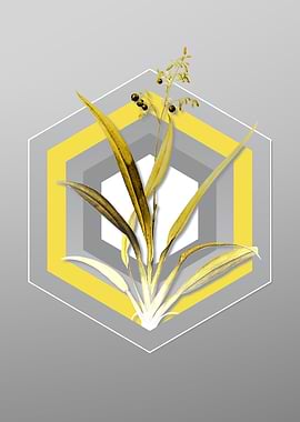 Gray Floral Illustration